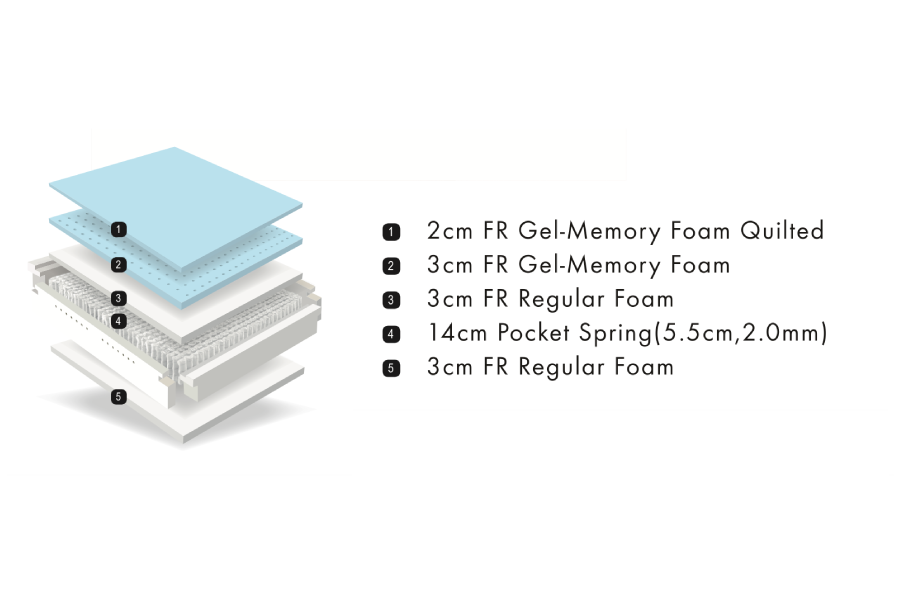 10789_2_Alma-Ortho-2-1-2